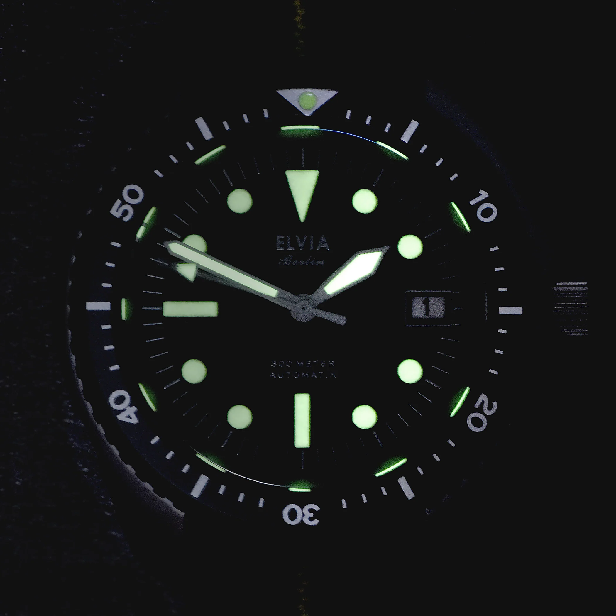 ELVIA Automatic Military Divers Watch with Sapphire Crystal and 24 Jewel Automatic Movement - Image 4